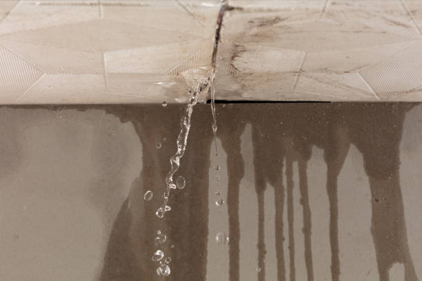 Professional Structural Drying technician working in Amherst, TX